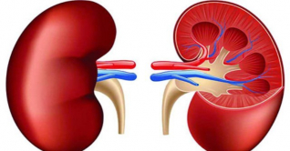 যেভাবে বুঝবেন আপনার কিডনিতে সমস্যা 