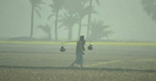 নভেম্বরের মাঝামাঝি থেকে নামতে পারে শীত