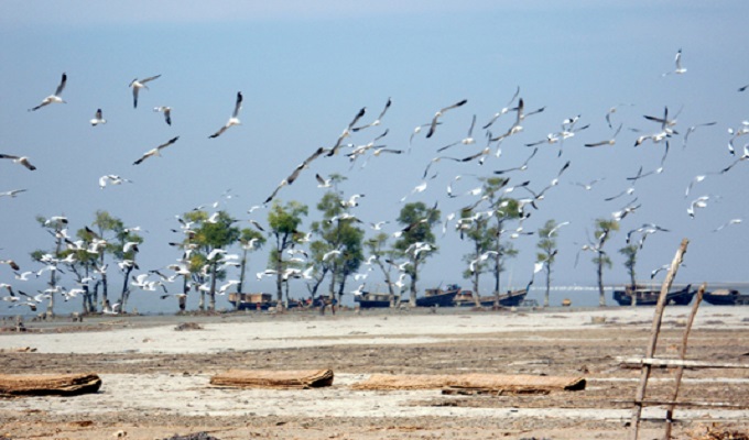 ছবি : সংগ্রহ করা