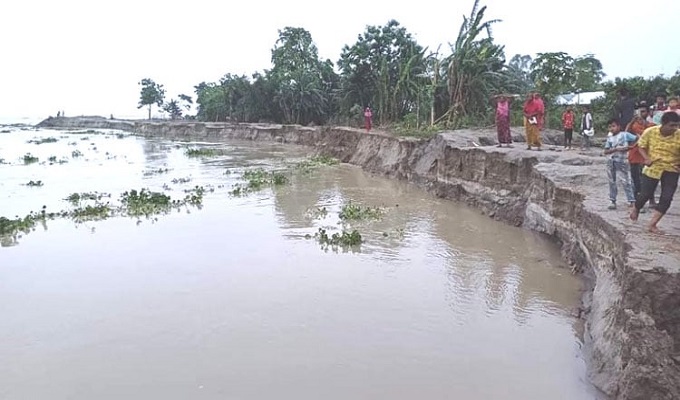 বগুড়ায় যমুনার পানি বেড়ে সারিয়াকান্দির চরাঞ্চল প্লাবিত