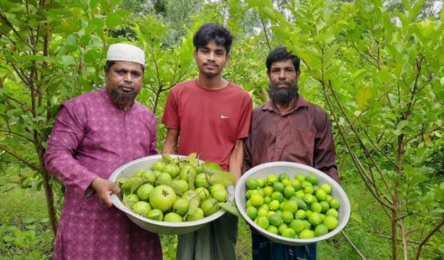 সংগৃহীত ছবি