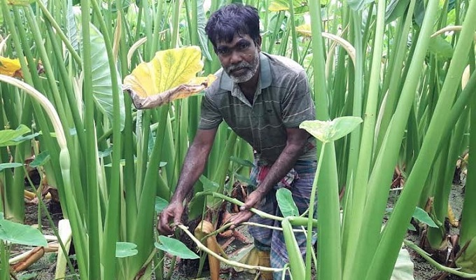 সংগৃহীত ছবি