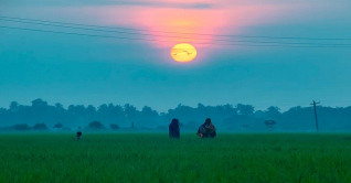 আজ পহেলা অগ্রহায়ণ, হেমন্তকাল শুরু