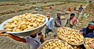 শুল্ক কমলেও বাড়তি দামেই বিক্রি হচ্ছে আলু