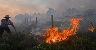 আলজেরিয়ায় ভয়াবহ দাবানল, নিহত ৩৪