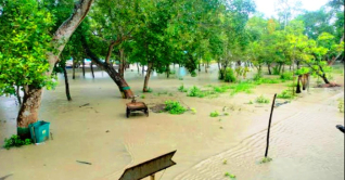 উপকূলে বৃষ্টিপাত ও ঝড়ো হাওয়া, সুন্দরবনে ৩ ফুট পানি