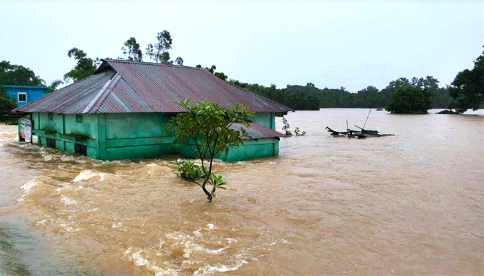 সংগৃহীত ছবি