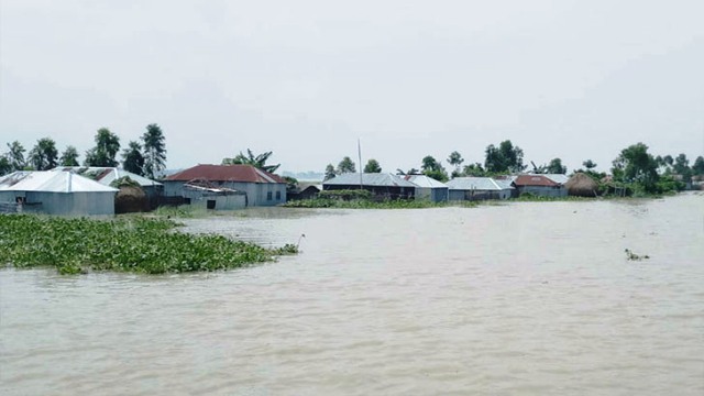 ফাইল ছবি