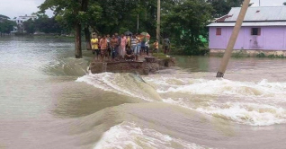 বাড়ছে যমুনার পানি, সিরাজগঞ্জে নিম্নাঞ্চল প্লাবিত