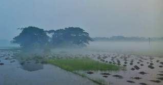 পাঁচ বিভাগে গুঁড়ি গুঁড়ি বৃষ্টির আভাস