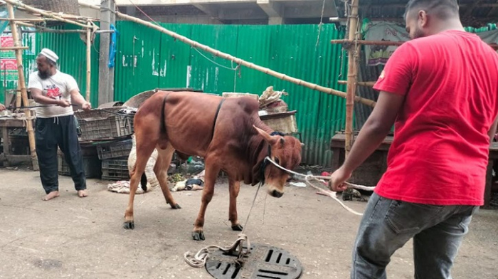 সংগৃহীত ছবি