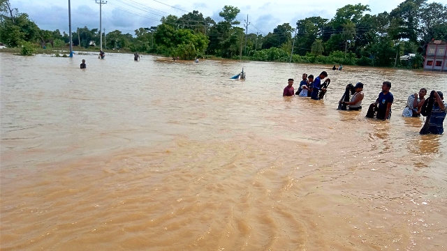 সংগৃহীত ছবি