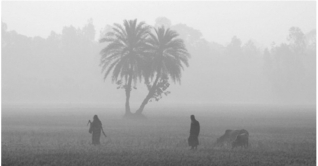 অব্যাহত থাকবে শৈত্যপ্রবাহ, বৃষ্টির আভাস