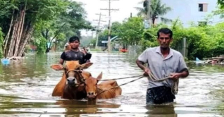 বাঁধের পানি ছাড়ার কারণে বাংলাদেশে বন্যা হয়নি, দাবি ভারতের