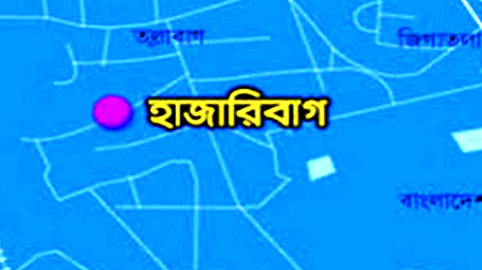 সংগৃহীত ছবি