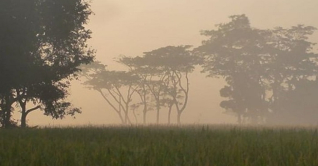 কুয়াশা খানিকটা কমলেও শৈত্যপ্রবাহ অব্যাহত  