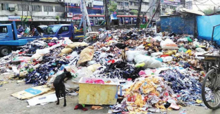 রাজধানীতে ময়লার স্তুপ থেকে ২ নবজাতকের লাশ উদ্ধার 