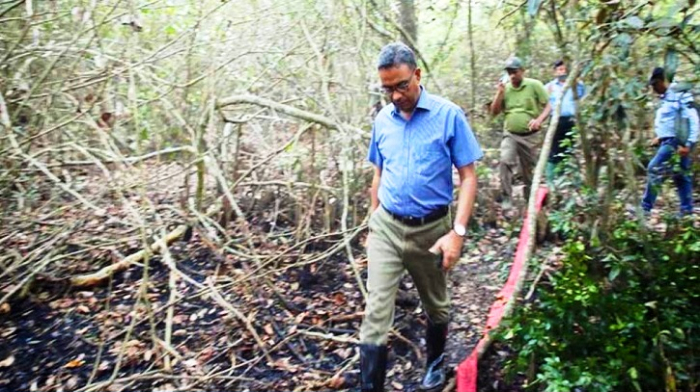 সংগৃহীত ছবি