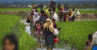 মিয়ানমার থেকে আরও ৫০০ রোহিঙ্গা পালিয়ে এলো বাংলাদেশে