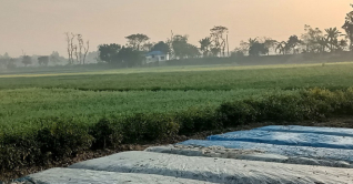 বেড়েছে তাপমাত্রা, কমেছে শীতের প্রকোপ