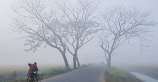 বইছে শৈত্যপ্রবাহ, তাপমাত্রা আরও কমতে পারে