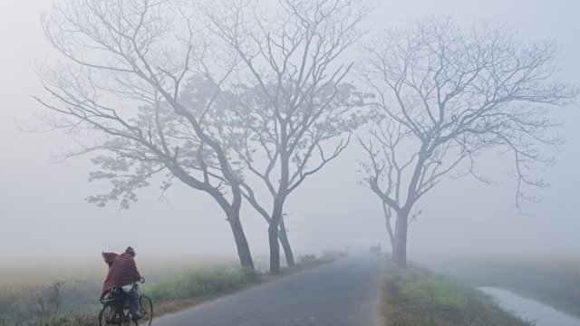 ফাইল ছবি