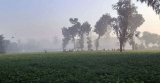 দিনে বাড়ে তাপমাত্রা, রাতে তীব্র শীত