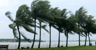 ২০ অঞ্চলে ঝড়-বৃষ্টির আভাস, নদীবন্দরে সতর্কতা