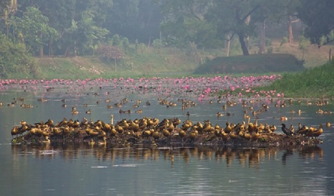 ফাইল ছবি