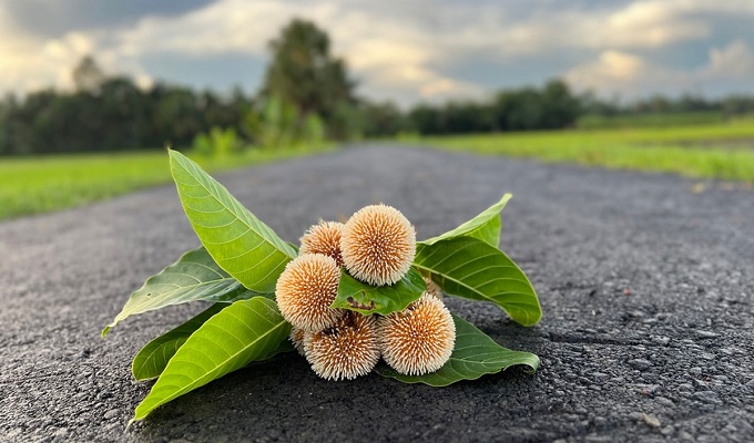 ফাইল ছবি।