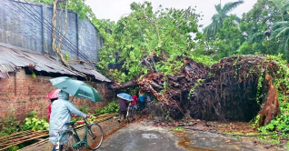 নরসিংদীতে ইটের নিচে চাপা পড়ে স্বামী-স্ত্রীর প্রাণহানী