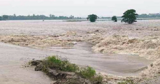 পাইকগাছায় বেড়িবাঁধ ভেঙে প্লাবিত ১৩ গ্রাম