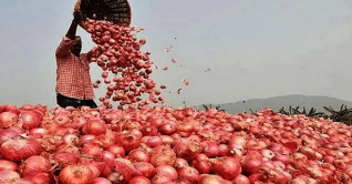 ভারত থেকে পেঁয়াজ আমদানি করায় দাম কমছে