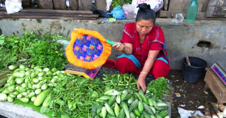 পাহাড়ি নারীদের জীবনসংগ্রামের গল্প