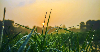 কমছে তাপমাত্রা, আসছে শীত