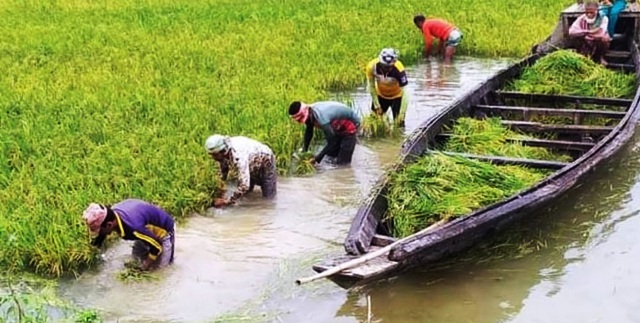 ফাইল ছবি