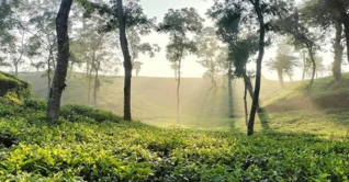 বেড়েছে পঞ্চগড়ের তাপমাত্রা