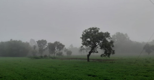 পঞ্চগড়ে ১৮.৪ ডিগ্রিতে নামল তাপমাত্রা 