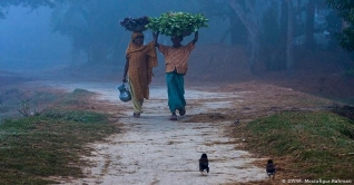 রাজধানীসহ সারা দেশে আবারও আসছে শীত